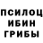 Галлюциногенные грибы мицелий Alex Steinbach