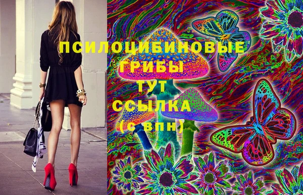 гидропоника Богородск
