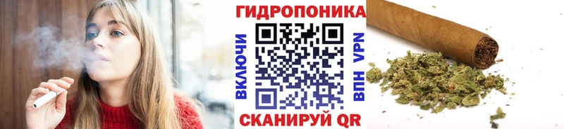 МЕГА ссылки Ермолино Шишки марихуана ГИДРОПОН